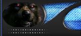 indexblau01RUV2E.jpg
